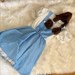 Rubies Dorothy wizard of Oz costume Blue Gingham Costume Dress and wig